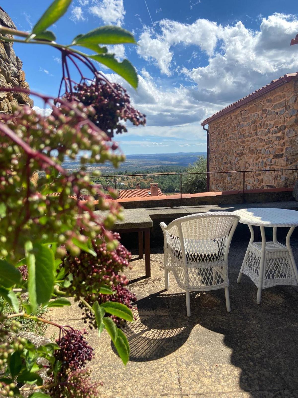 Casa da Cisterna Guest House Figueira de Castelo Rodrigo Bagian luar foto